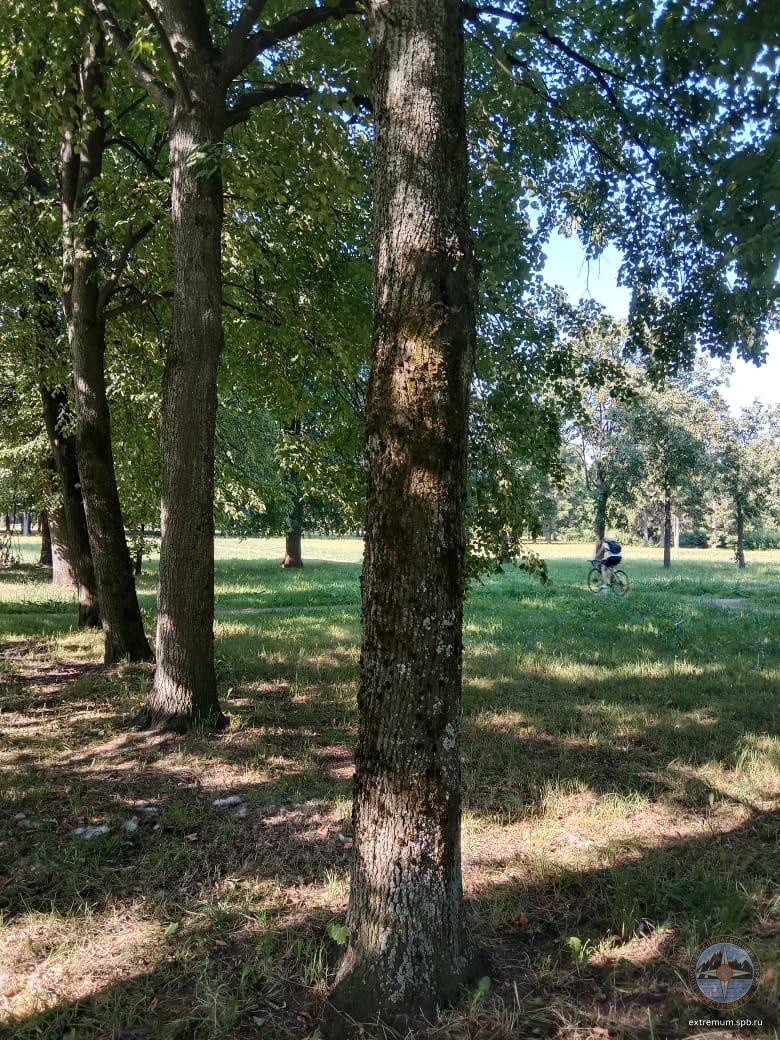 WhatsApp Image 2022-07-23 at 09.12.34.jpeg