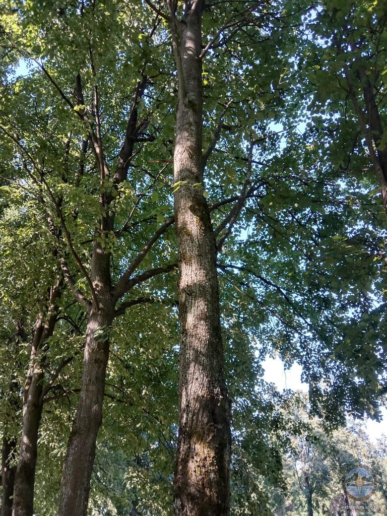 WhatsApp Image 2022-07-23 at 09.12.33.jpeg