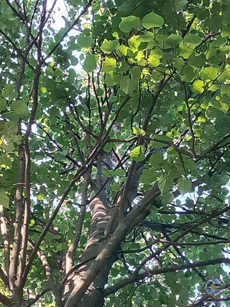 WhatsApp Image 2022-07-23 at 09.11.09.jpeg