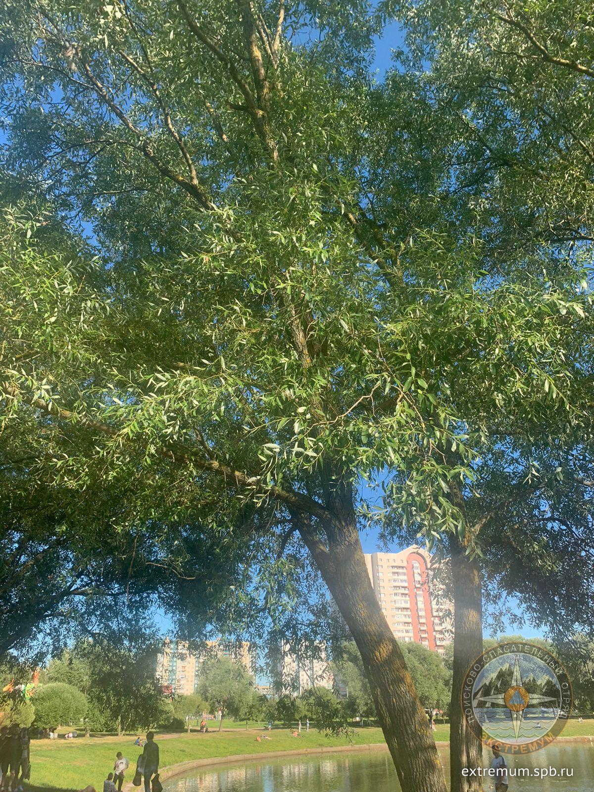 WhatsApp Image 2022-07-31 at 18.29.58.jpeg