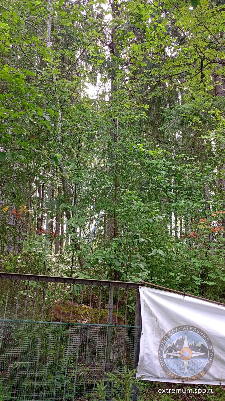 IMG-20220801-WA0000.jpg