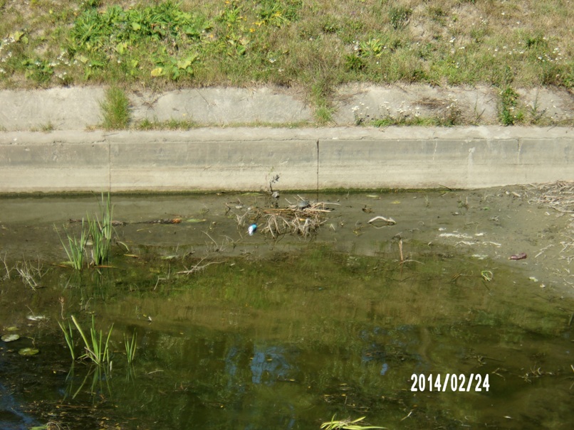 100_0263.JPG