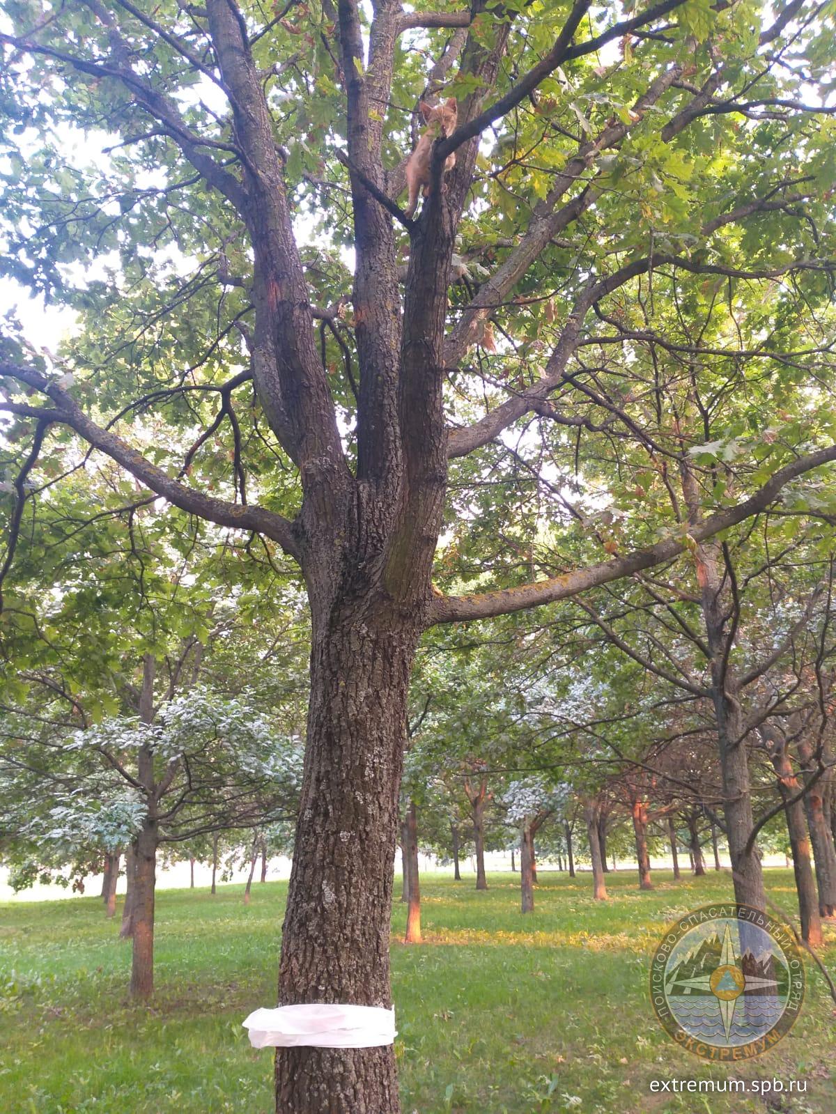 WhatsApp Image 2022-08-17 at 19.56.56.jpeg