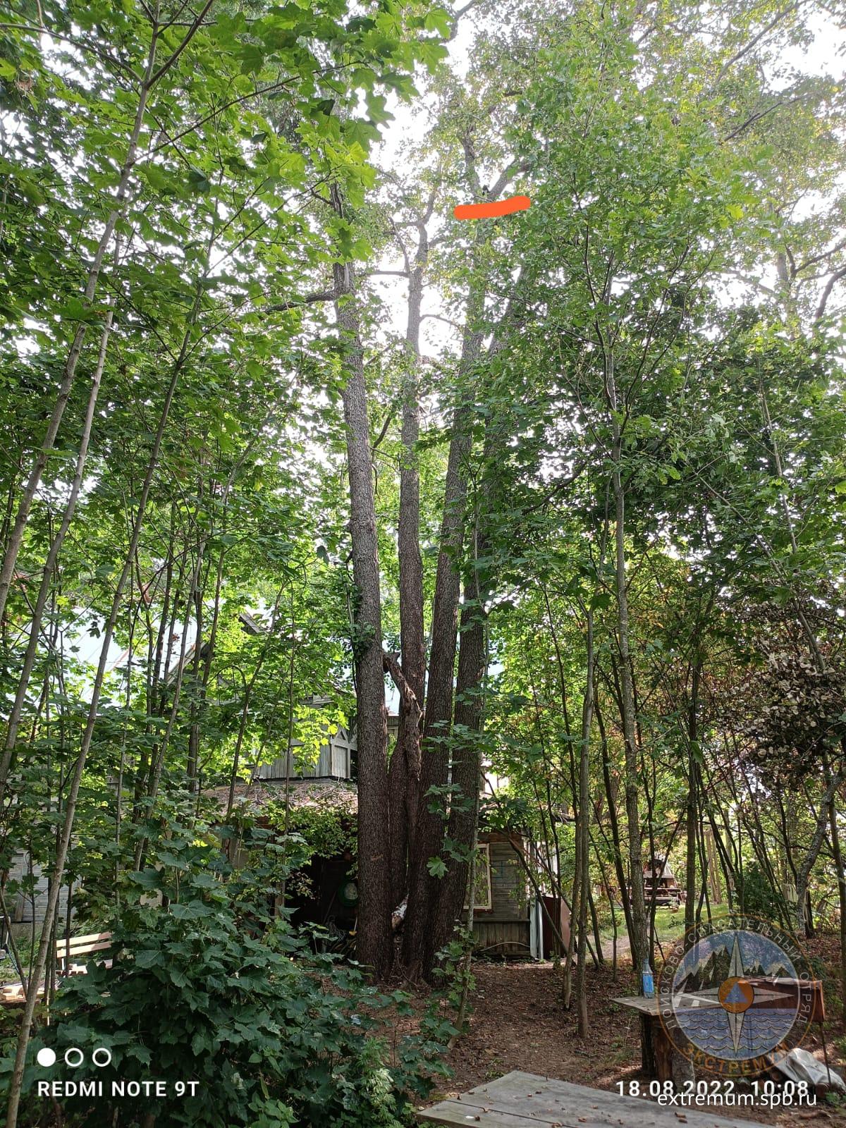 WhatsApp Image 2022-08-18 at 17.33.54.jpeg