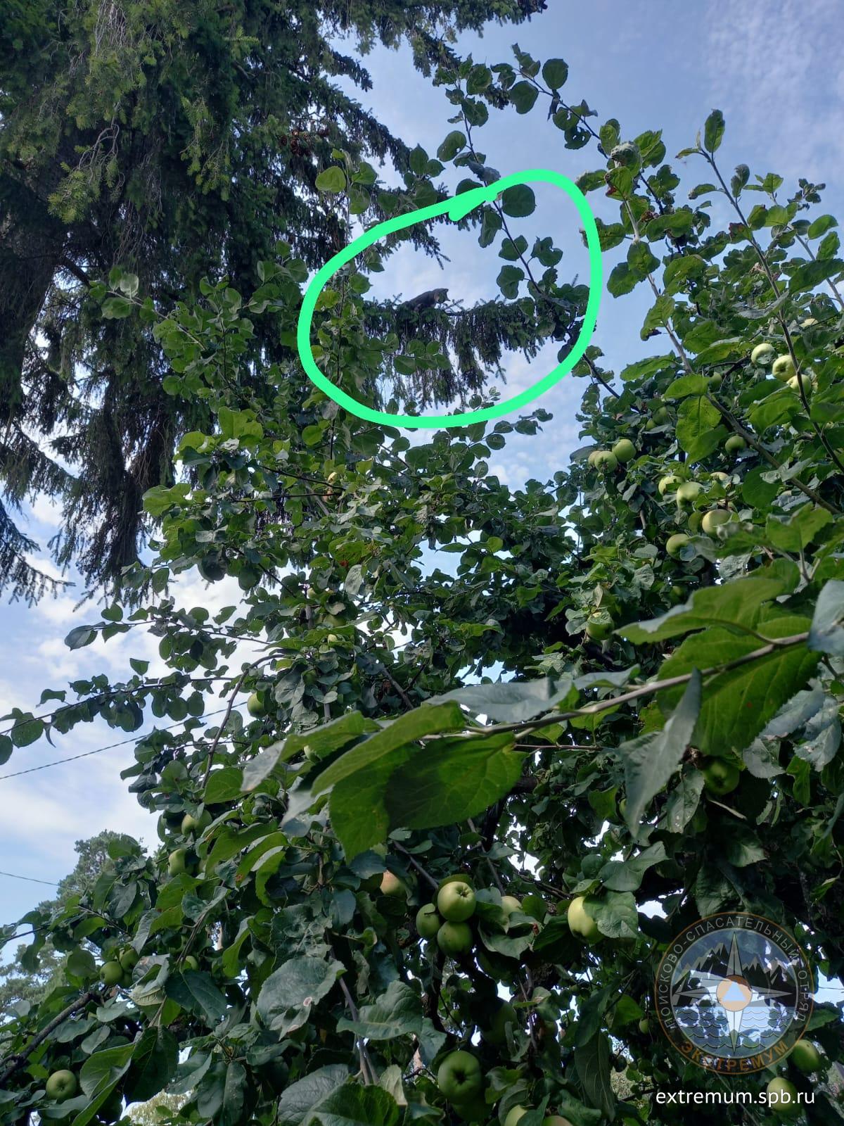 WhatsApp Image 2022-08-24 at 13.22.10.jpeg