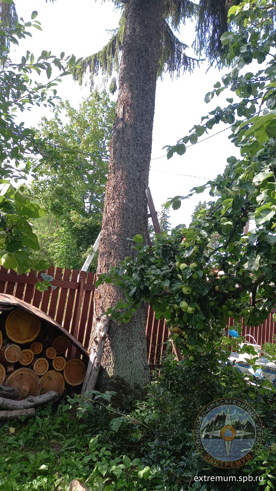 WhatsApp Image 2022-08-24 at 13.33.53.jpeg