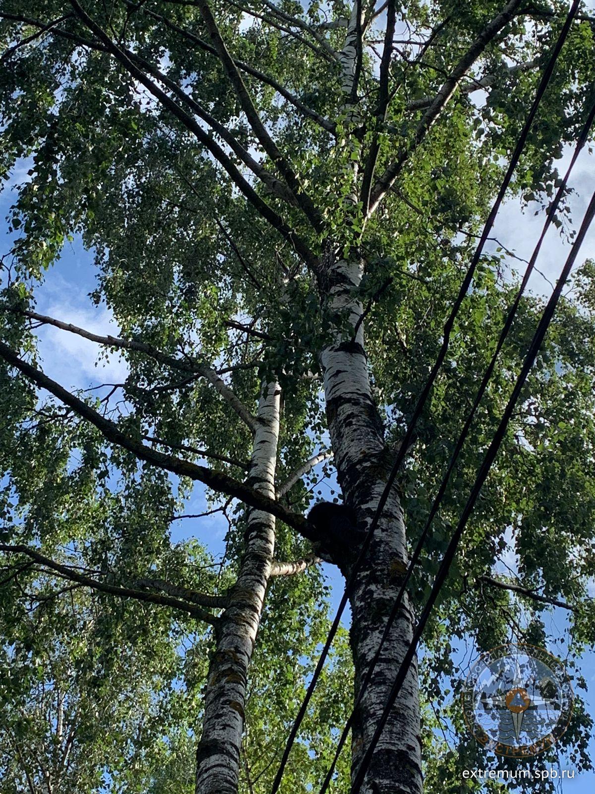 WhatsApp Image 2022-09-04 at 12.54.27 (1).jpeg