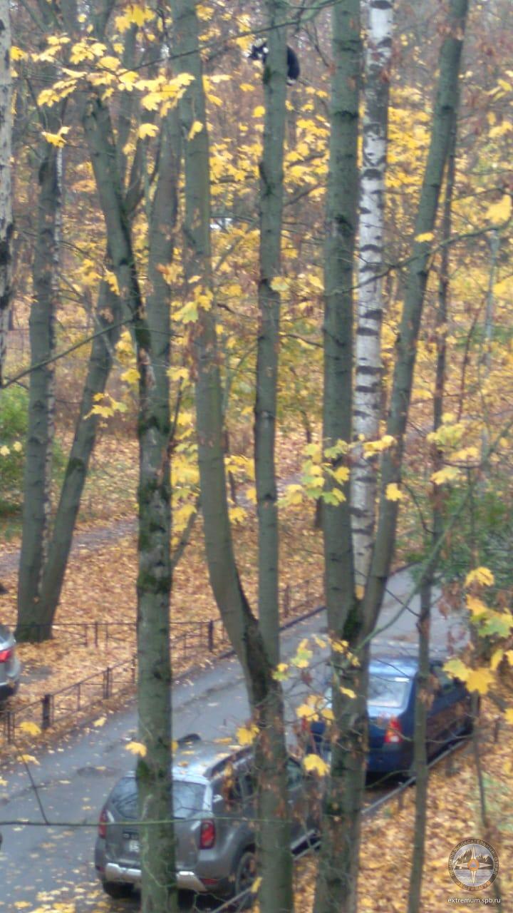 IMG-20221022-WA0000.jpg