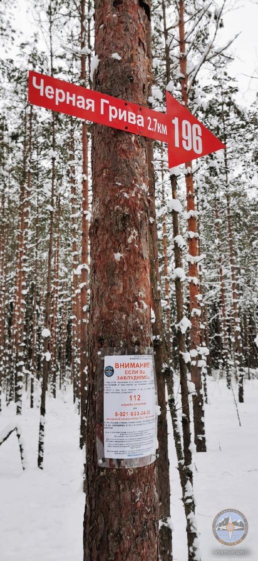 196_стало.jpg
318.87 КБ, Просмотров: 3647 196_стало.jpg