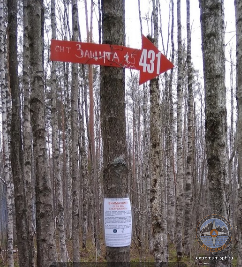 431 грязь.png
675.22 КБ, Просмотров: 3647 431 грязь.png