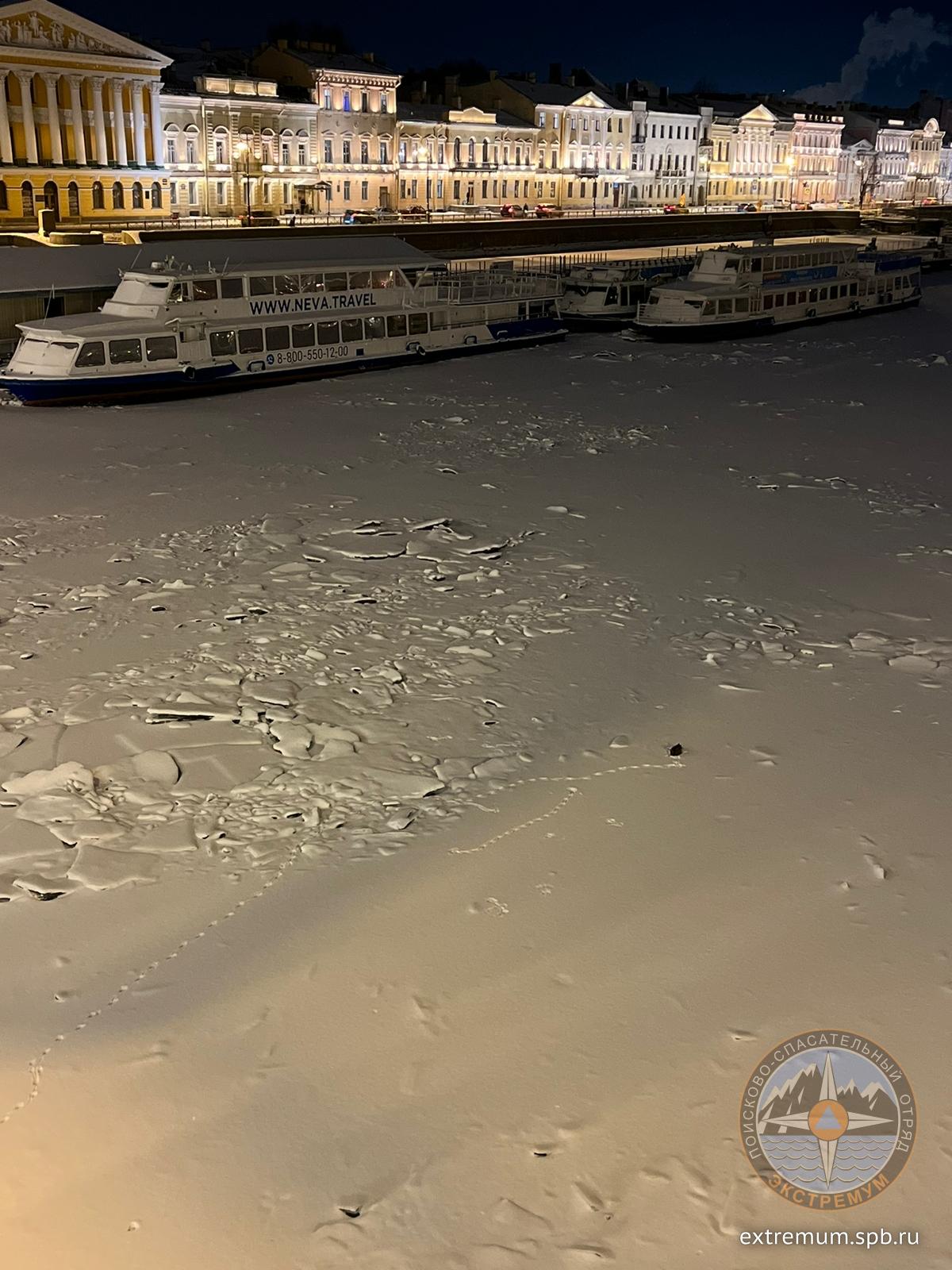 WhatsApp Image 2023-01-08 at 19.18.37.jpeg