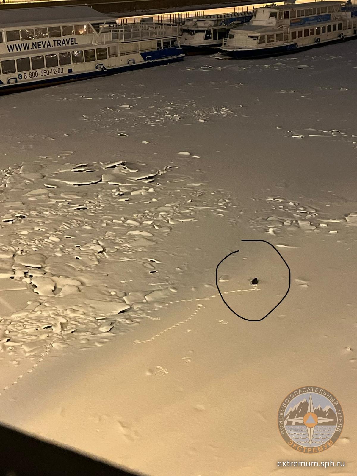 WhatsApp Image 2023-01-08 at 19.18.29.jpeg