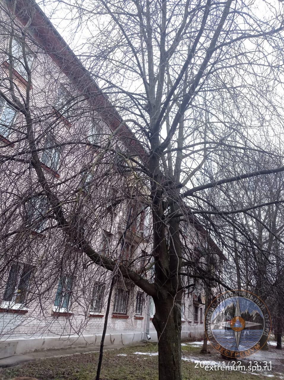 WhatsApp Image 2023-01-22 at 13.36.18.jpeg