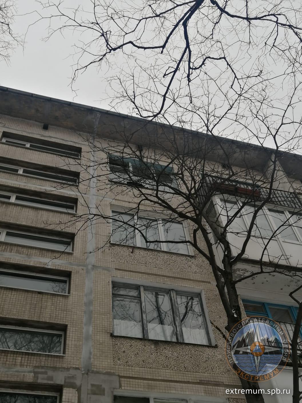 WhatsApp Image 2023-02-26 at 11.58.52.jpeg