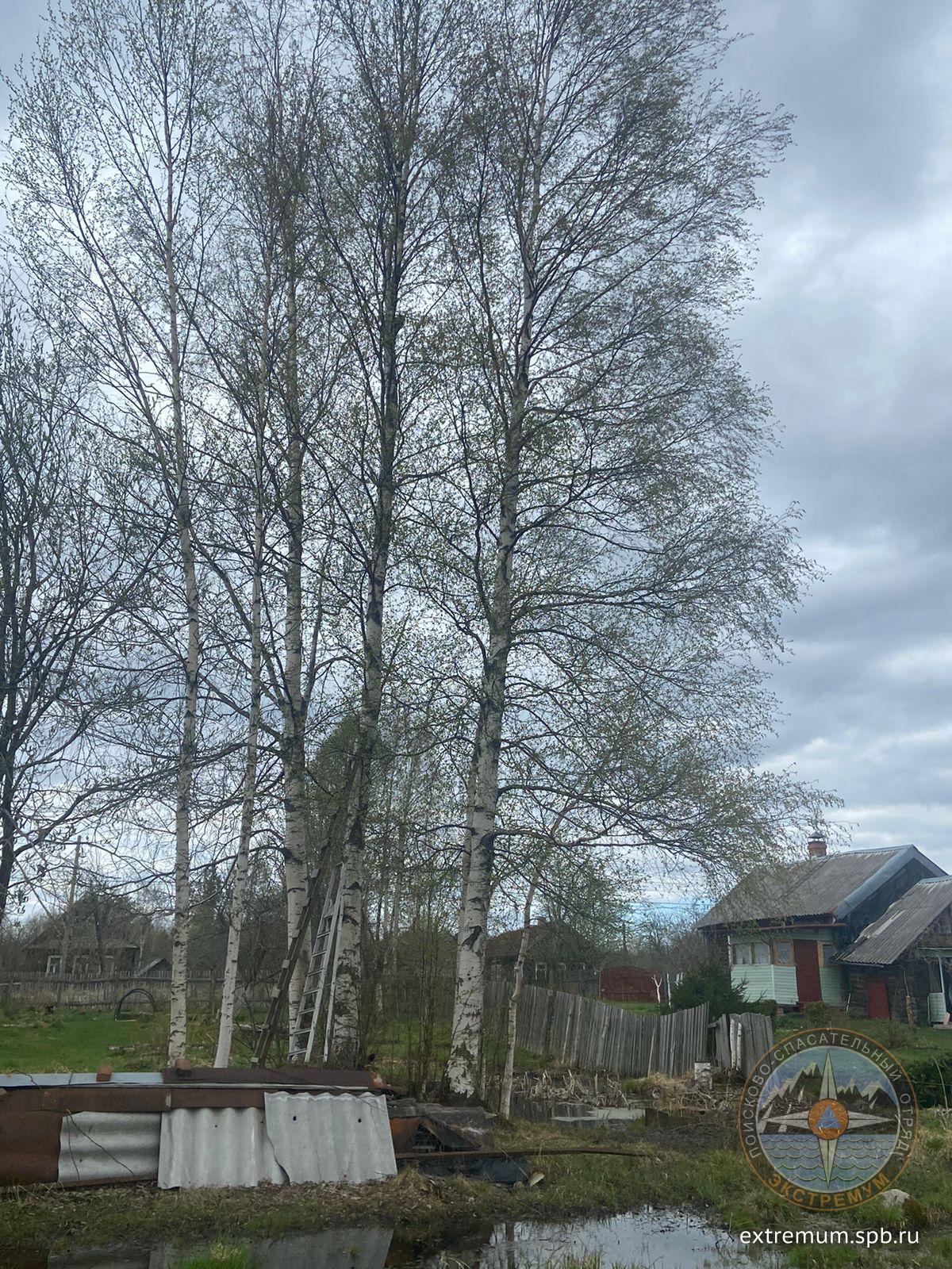 WhatsApp Image 2023-05-03 at 13.17.30.jpeg