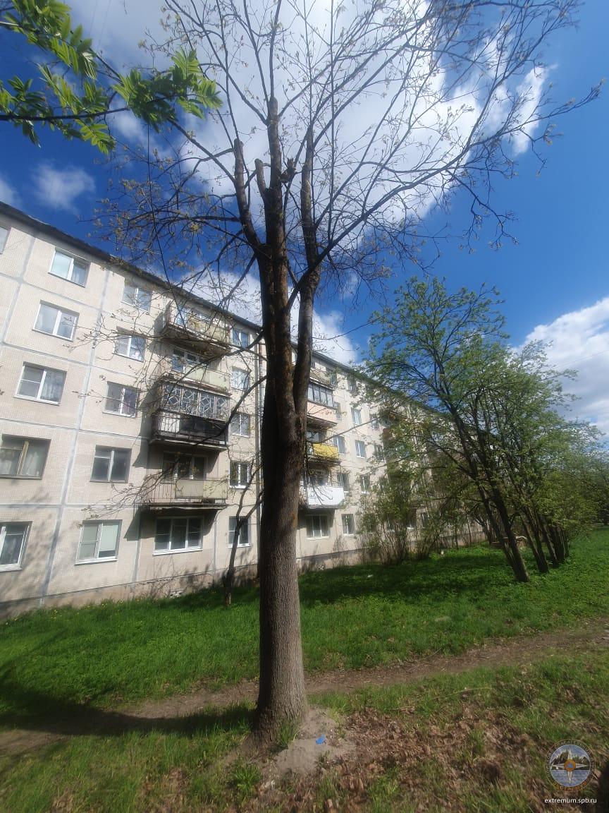 WhatsApp Image 2023-05-06 at 13.45.14.jpeg