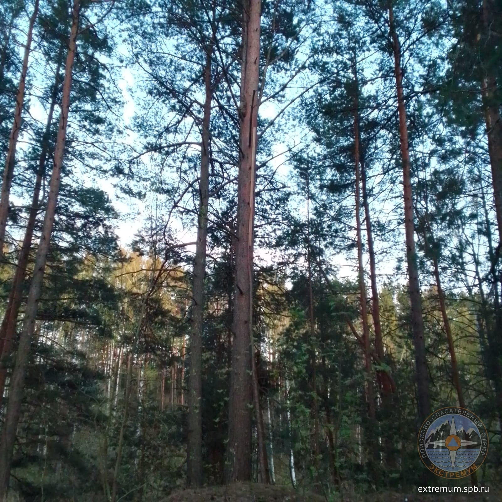 WhatsApp Image 2023-05-10 at 21.50.32.jpeg