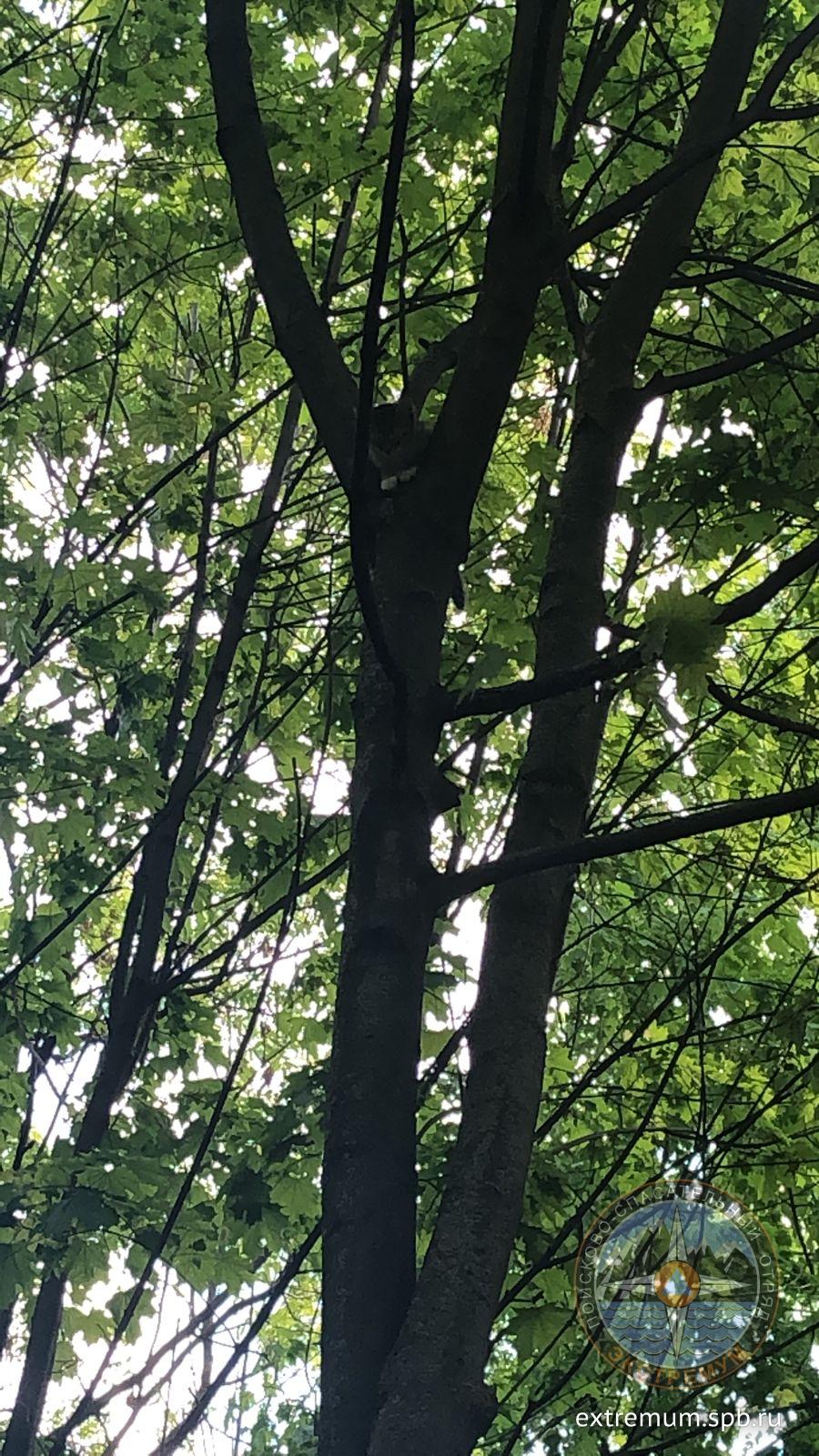 WhatsApp Image 2023-05-22 at 11.22.33.jpeg