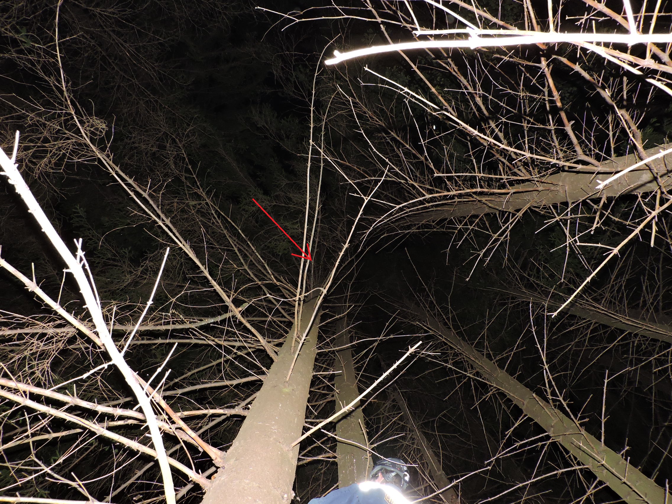 DSCN3296.JPG