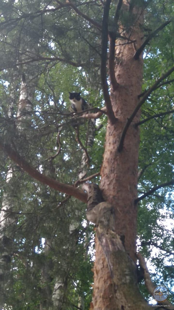 WhatsApp Image 2023-07-08 at 11.50.24.jpeg