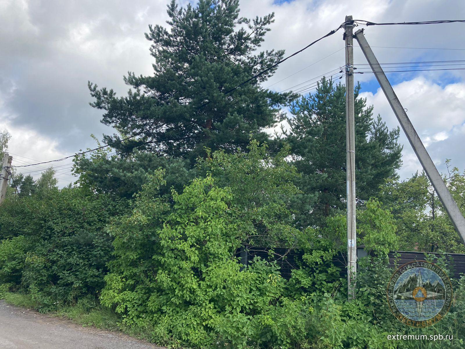 WhatsApp Image 2023-08-05 at 09.41.17.jpeg