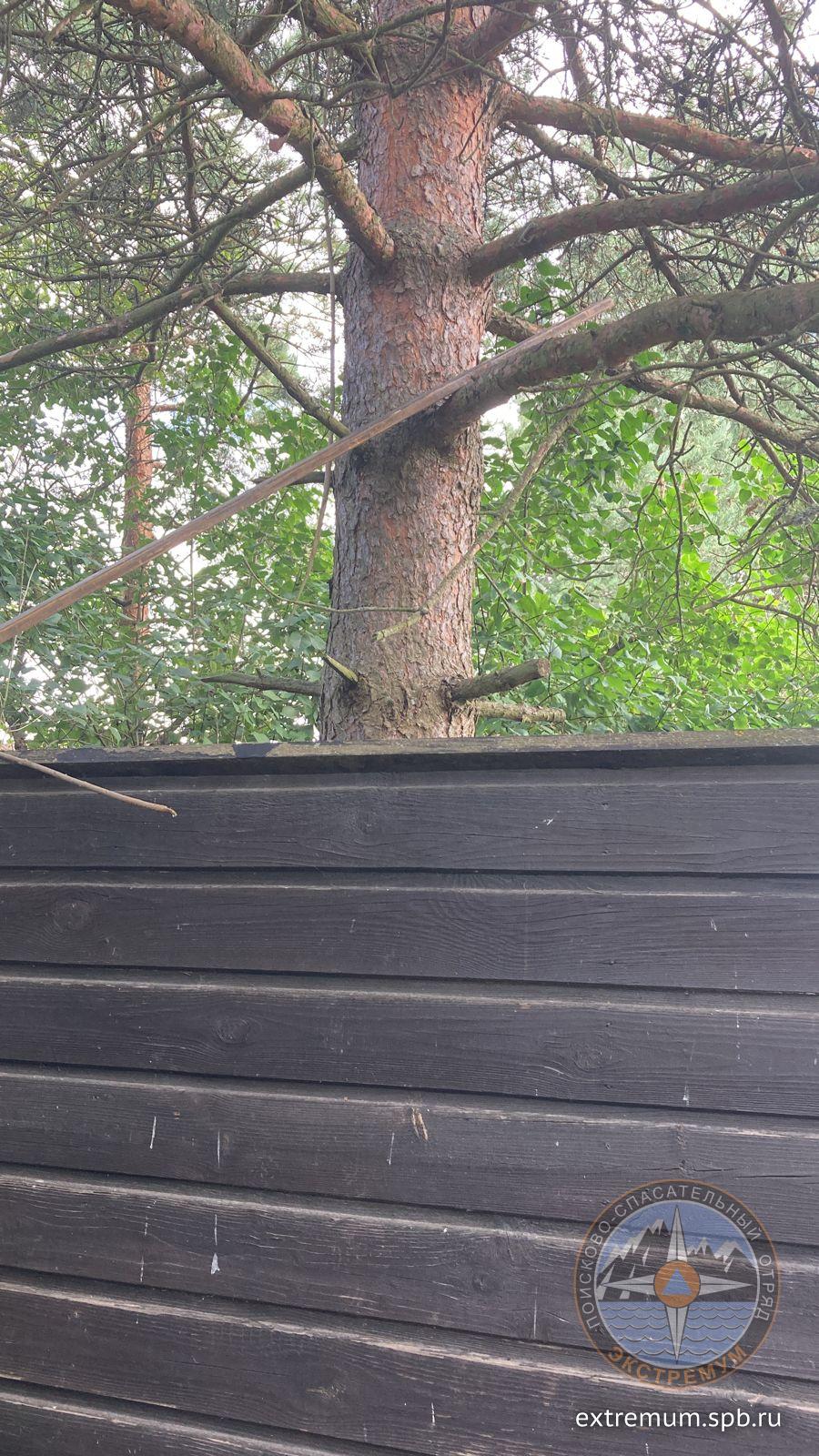 WhatsApp Image 2023-08-05 at 09.42.05.jpeg