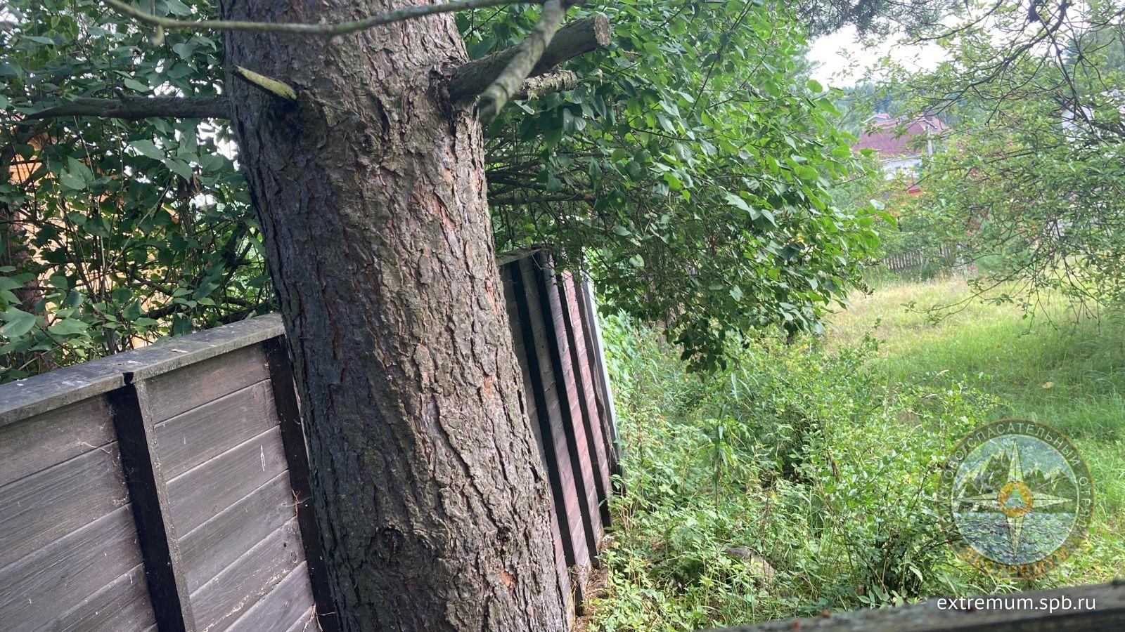 WhatsApp Image 2023-08-05 at 09.42.34.jpeg