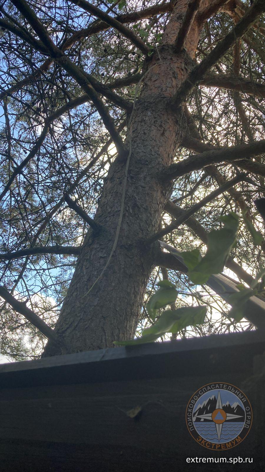 WhatsApp Image 2023-08-05 at 09.43.08.jpeg