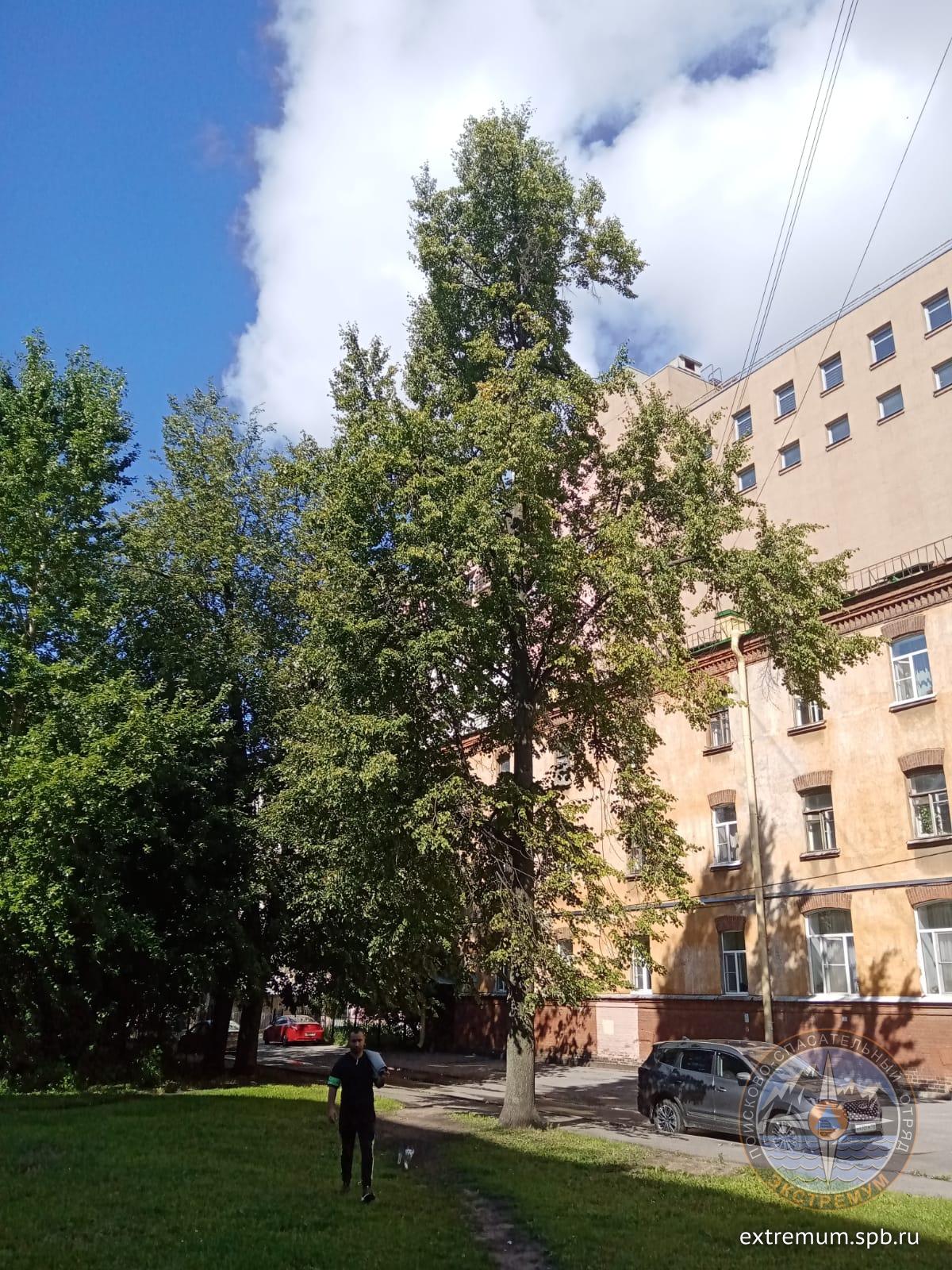 WhatsApp Image 2023-08-05 at 10.49.28.jpeg