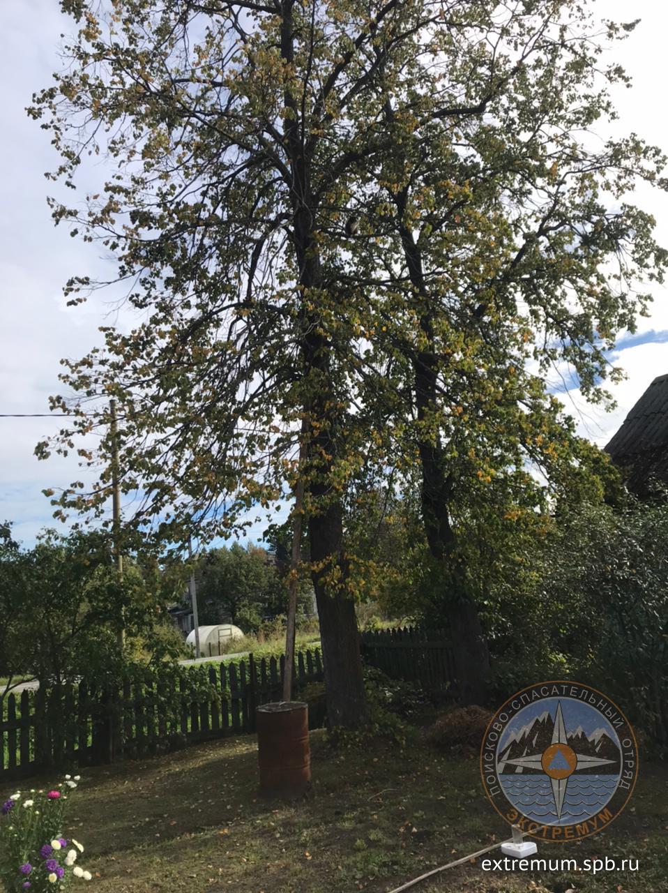 WhatsApp Image 2023-09-16 at 11.00.14.jpeg