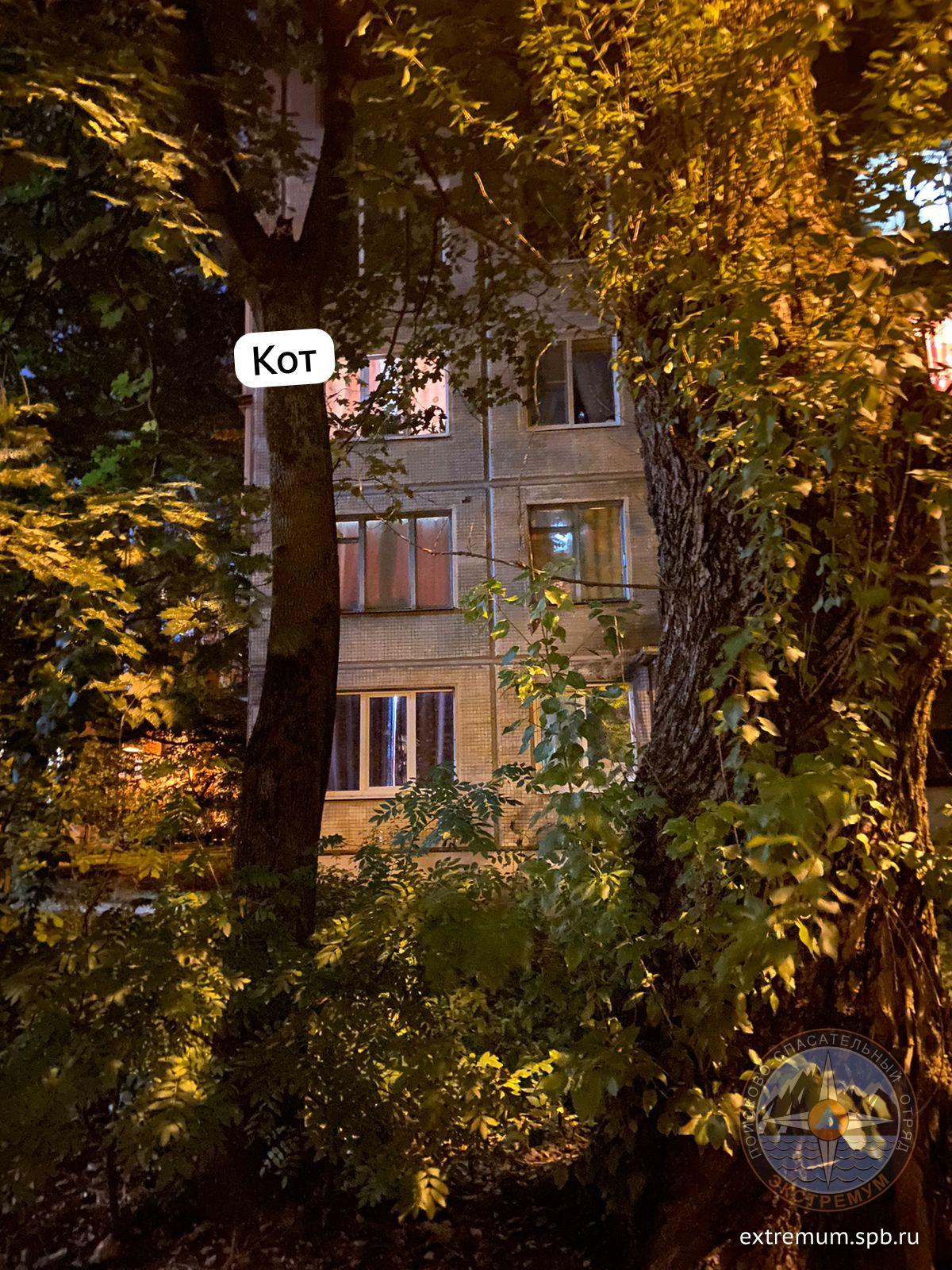 WhatsApp Image 2023-09-22 at 20.35.21.jpeg