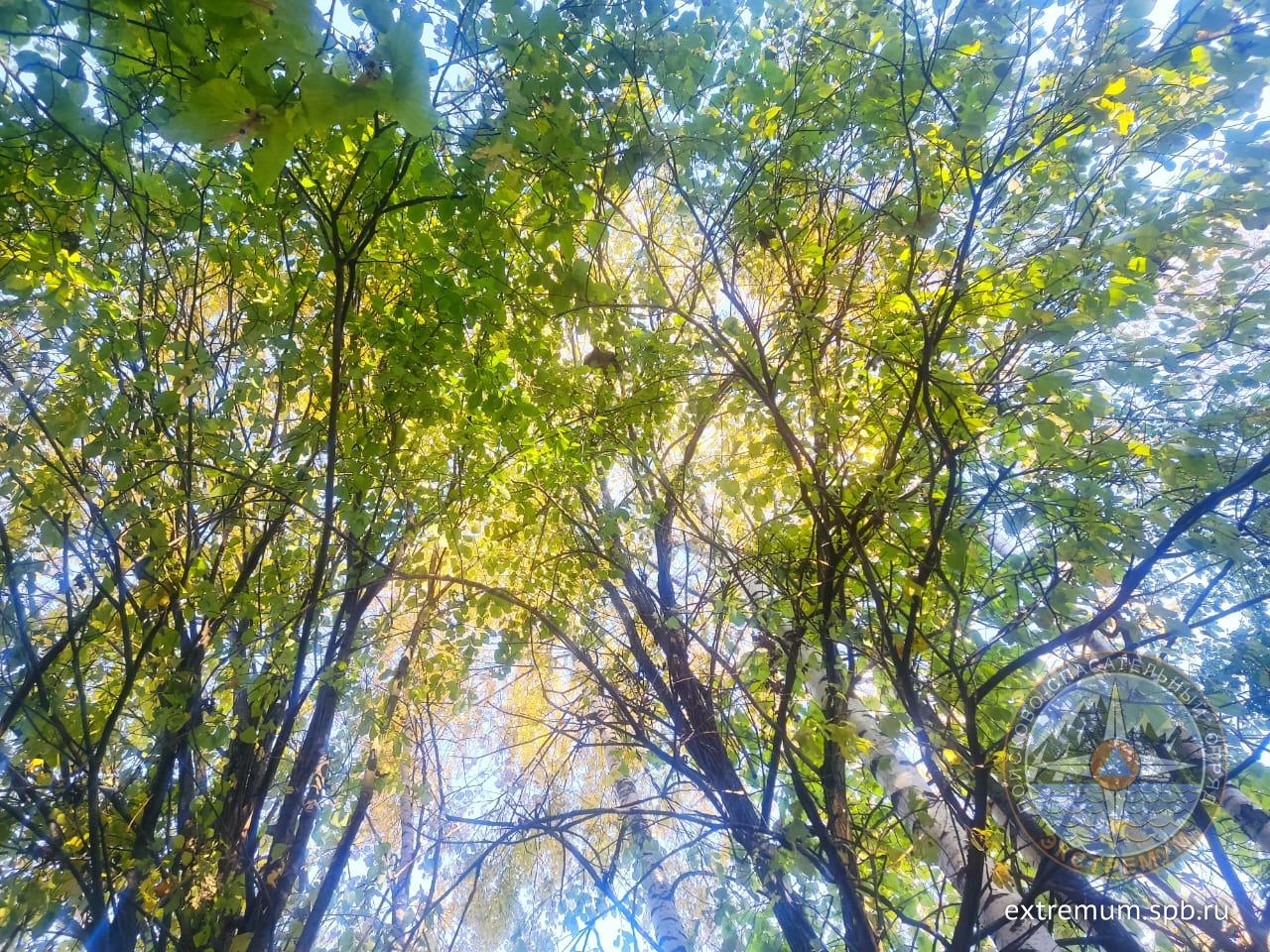 WhatsApp Image 2023-10-21 at 10.53.55.jpeg