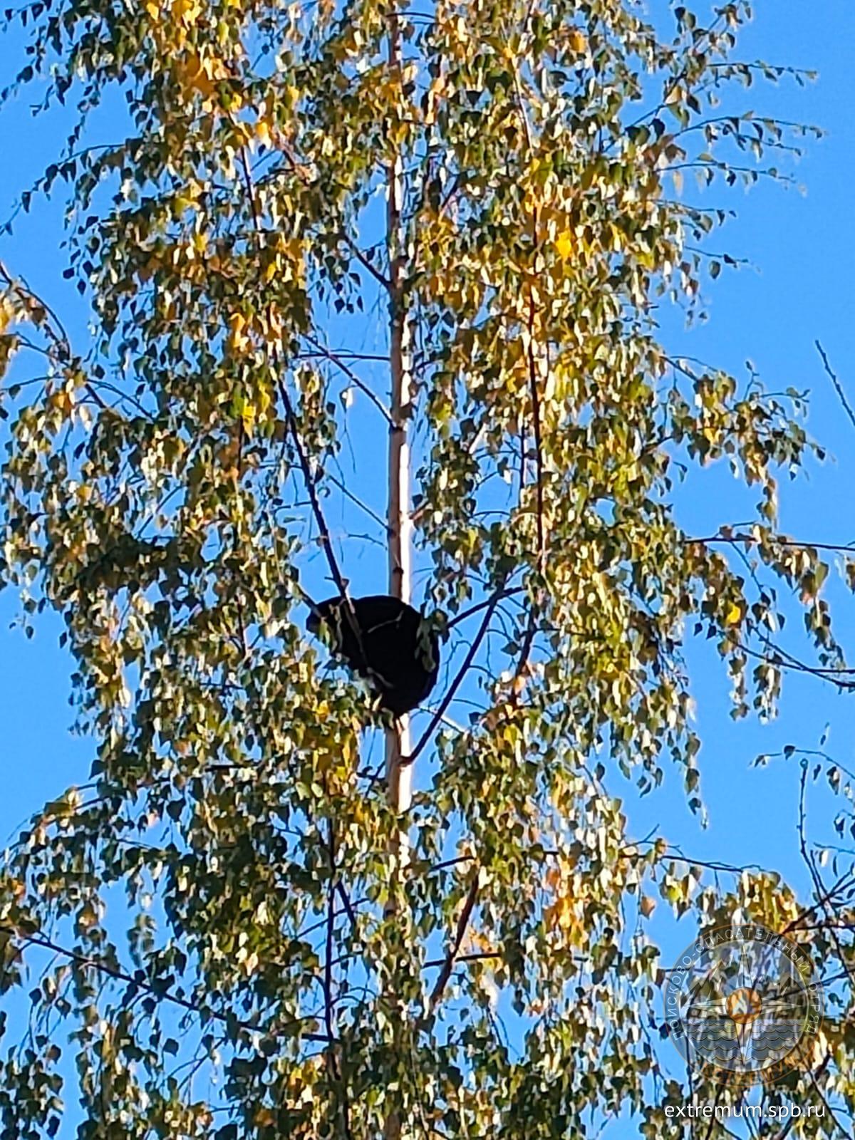 WhatsApp Image 2023-10-21 at 18.01.00.jpeg