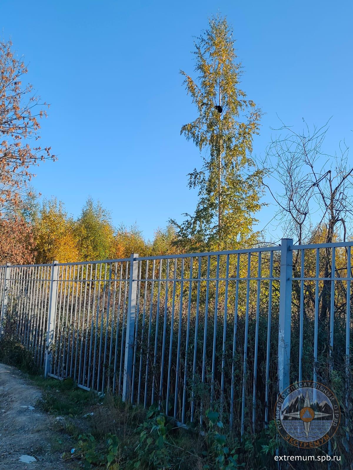 WhatsApp Image 2023-10-21 at 18.00.56.jpeg