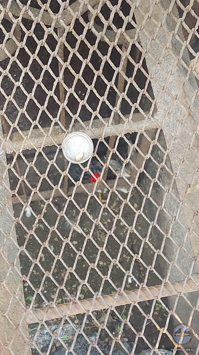 WhatsApp Image 2023-11-11 at 11.57.35.jpeg