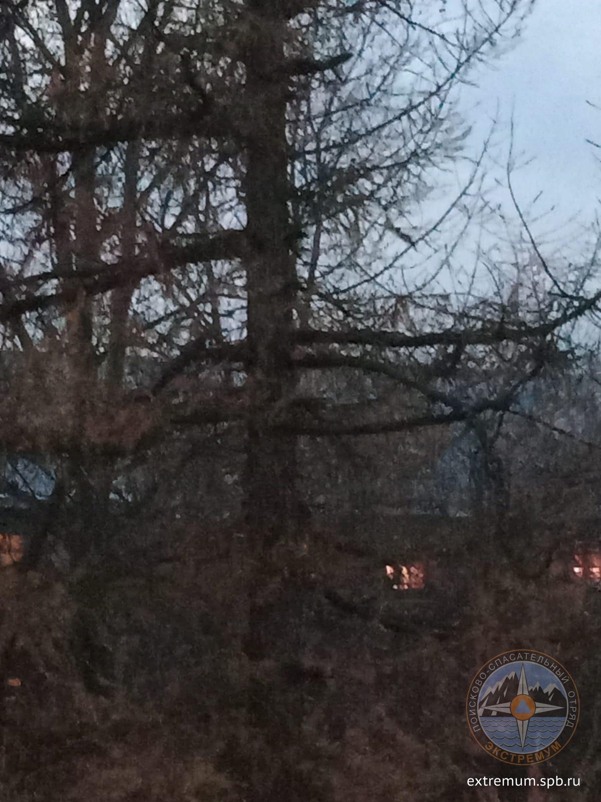 WhatsApp Image 2023-11-11 at 17.13.34.jpeg