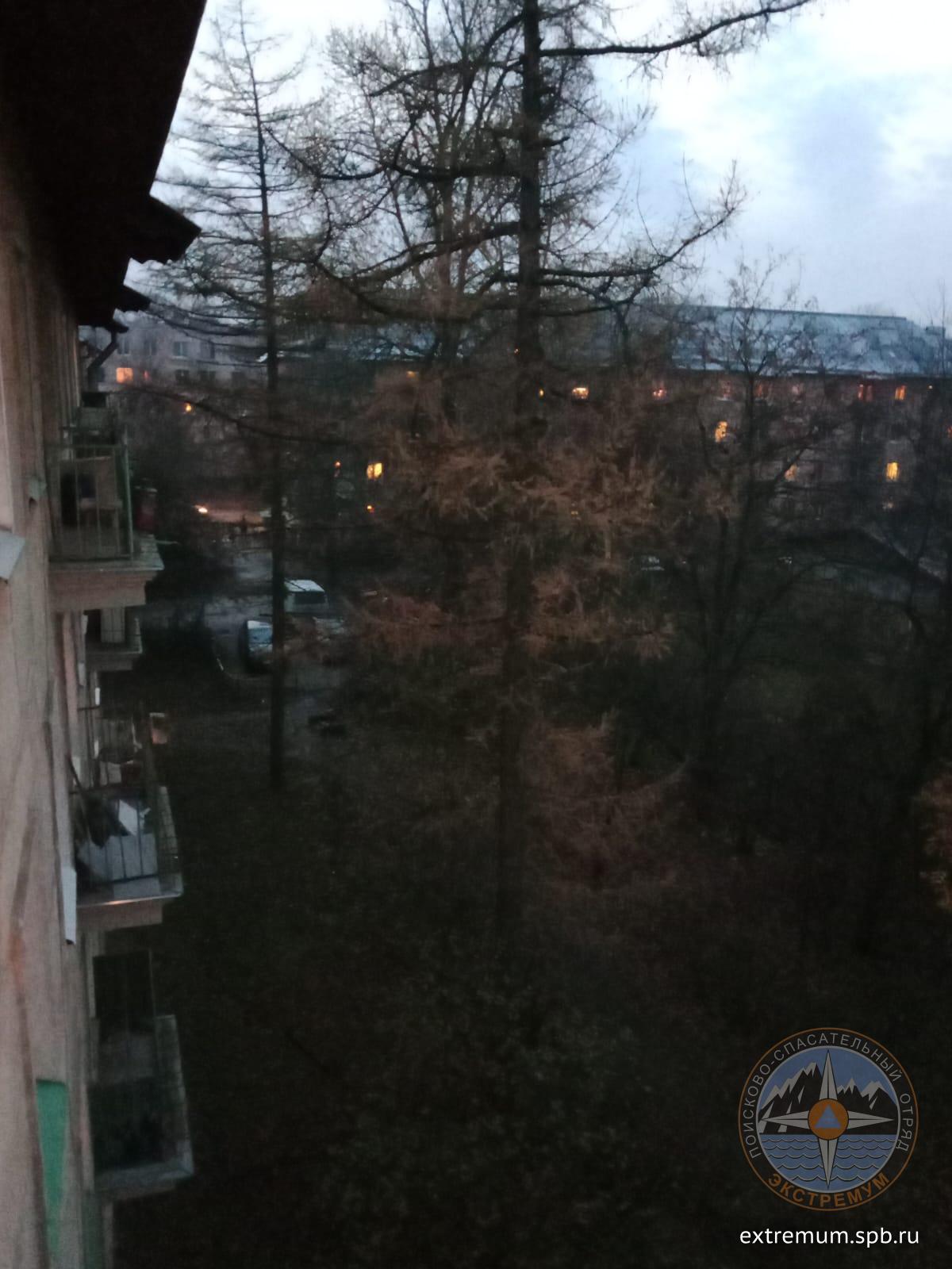 WhatsApp Image 2023-11-11 at 17.13.40.jpeg