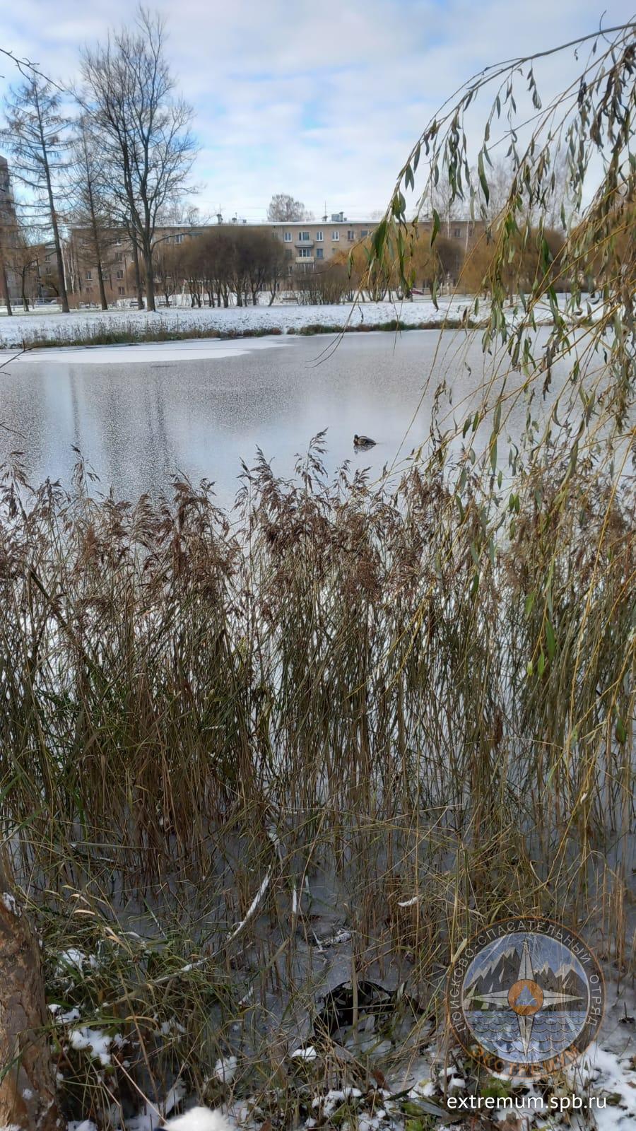 WhatsApp Image 2023-11-18 at 11.40.47.jpeg