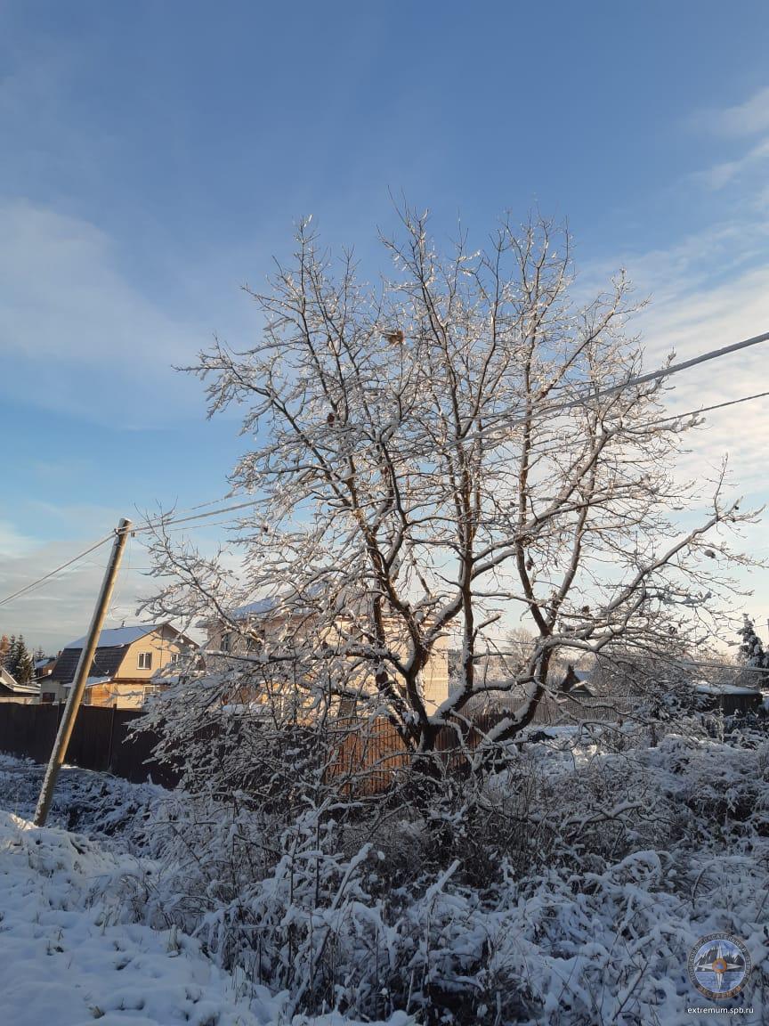 WhatsApp Image 2023-11-19 at 10.42.35.jpeg