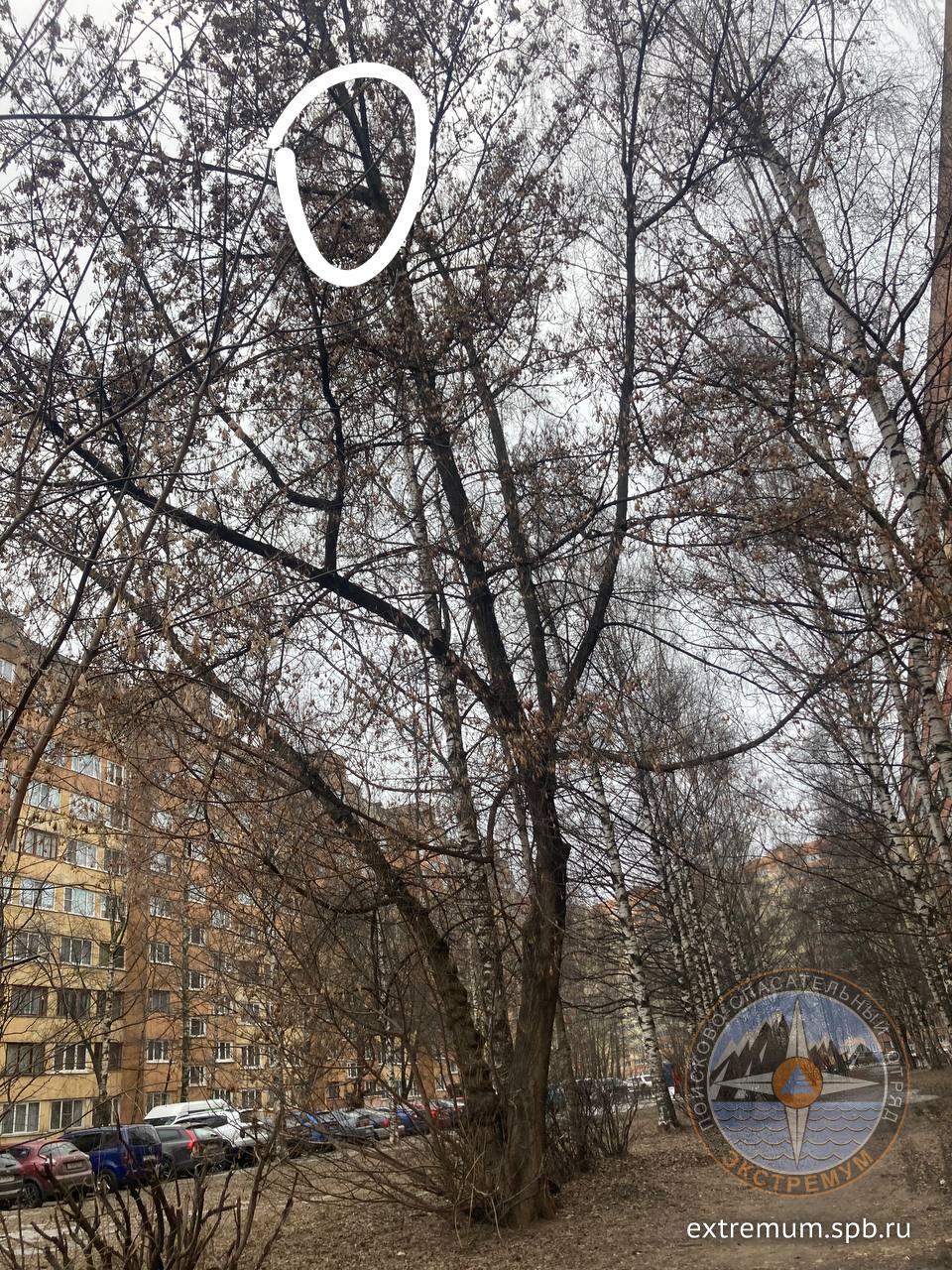 WhatsApp Image 2024-03-10 at 16.47.53.jpeg