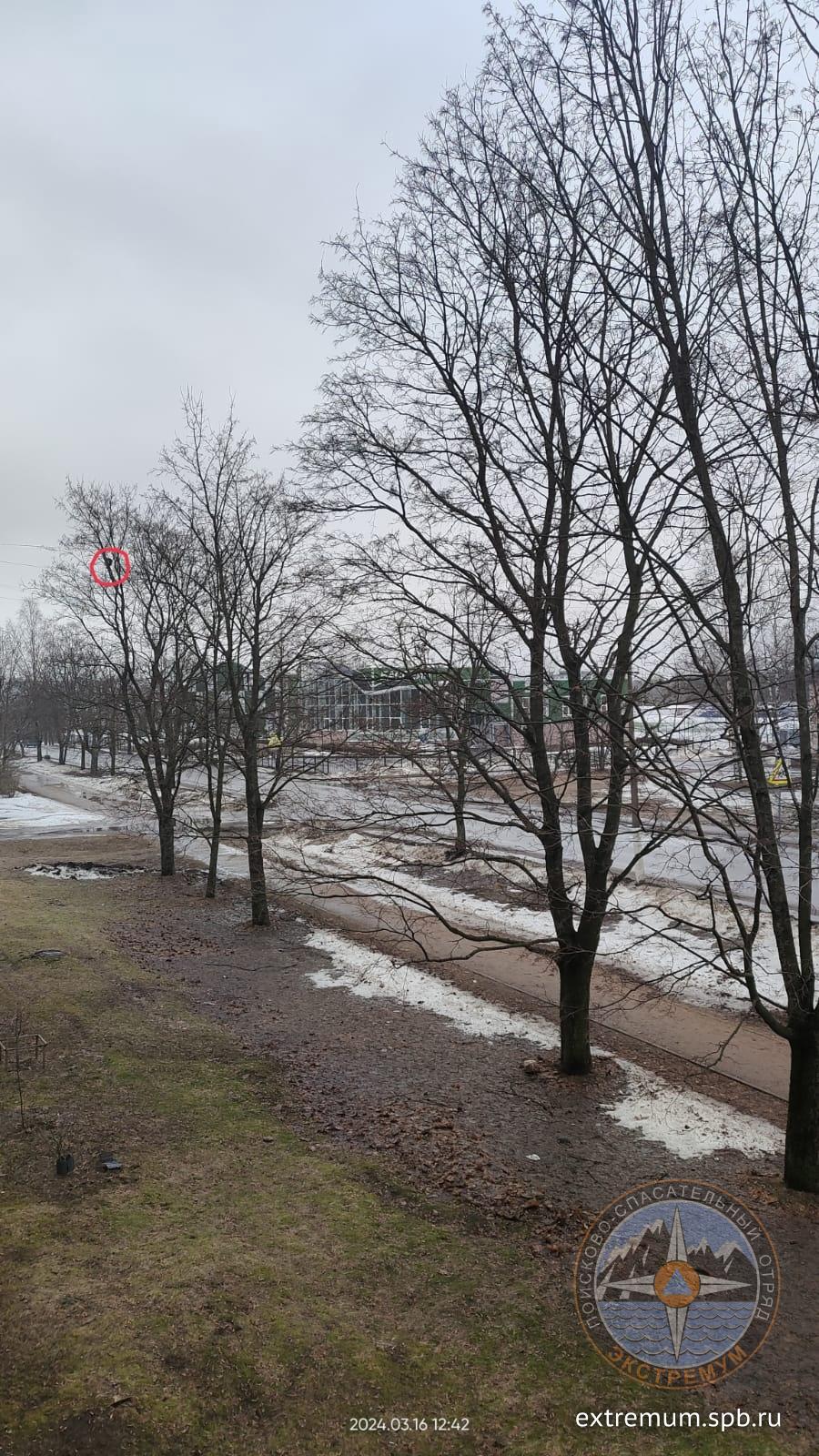 Приозерск 16.03.jpg