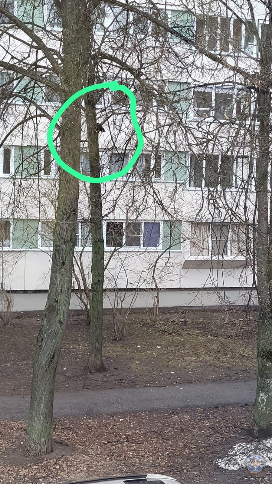 WhatsApp Image 2024-03-16 at 5.00.32 PM.jpeg