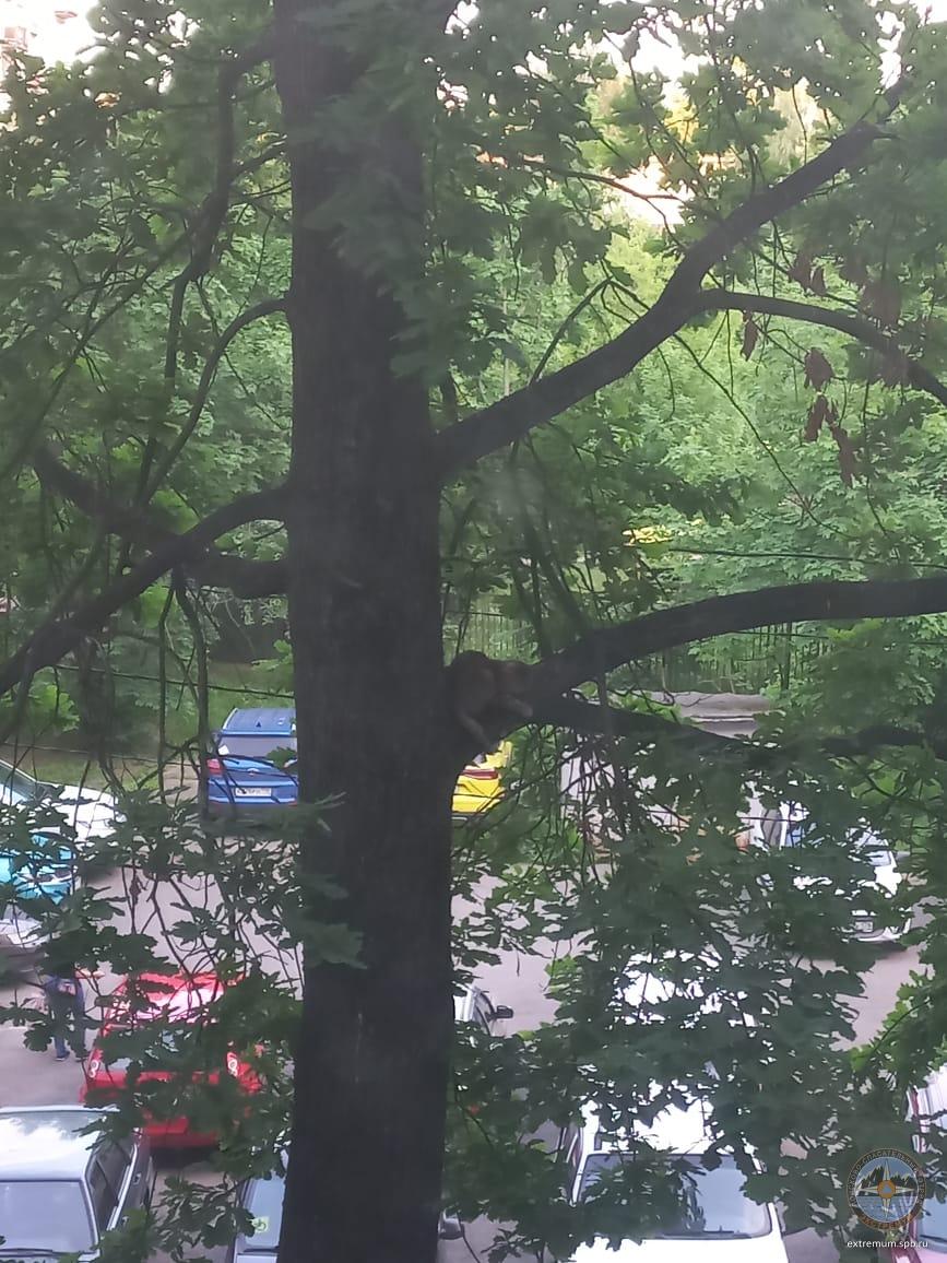 WhatsApp Image 2024-05-30 at 20.53.35.jpeg