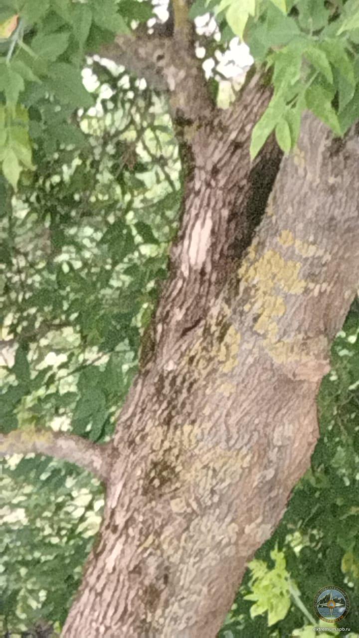 WhatsApp Image 2024-06-20 at 13.22.26.jpeg