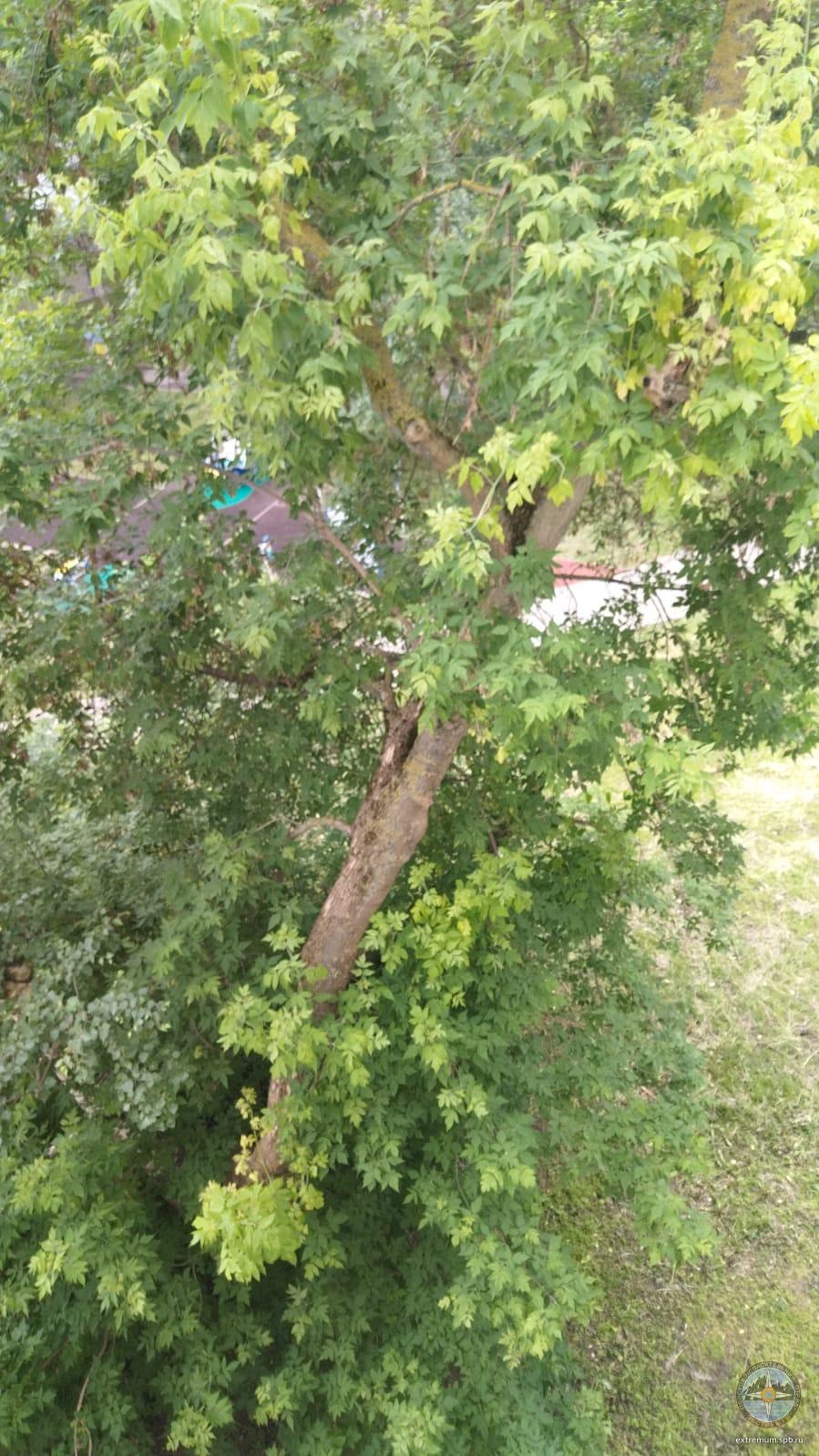 WhatsApp Image 2024-06-20 at 13.21.59.jpeg