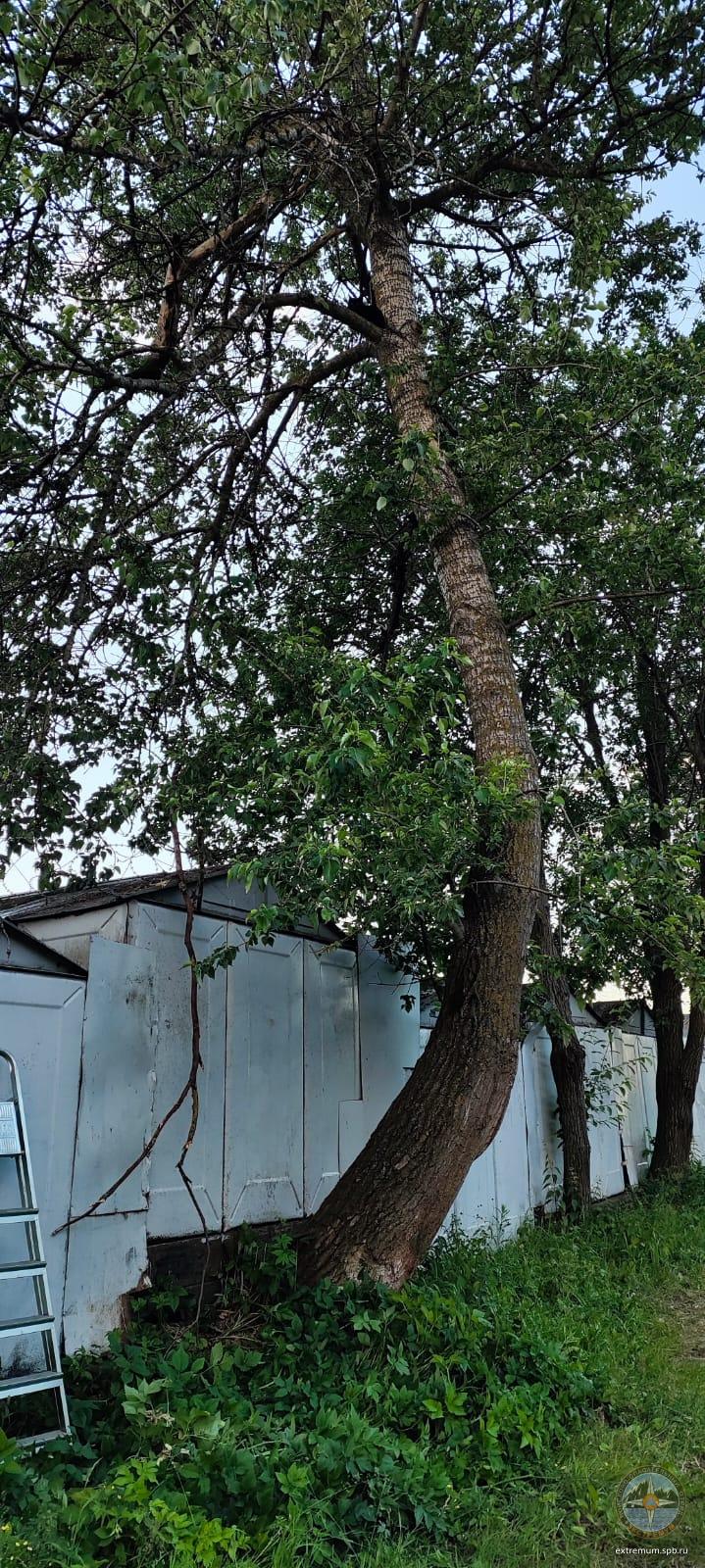 WhatsApp Image 2024-06-22 at 21.30.33.jpeg