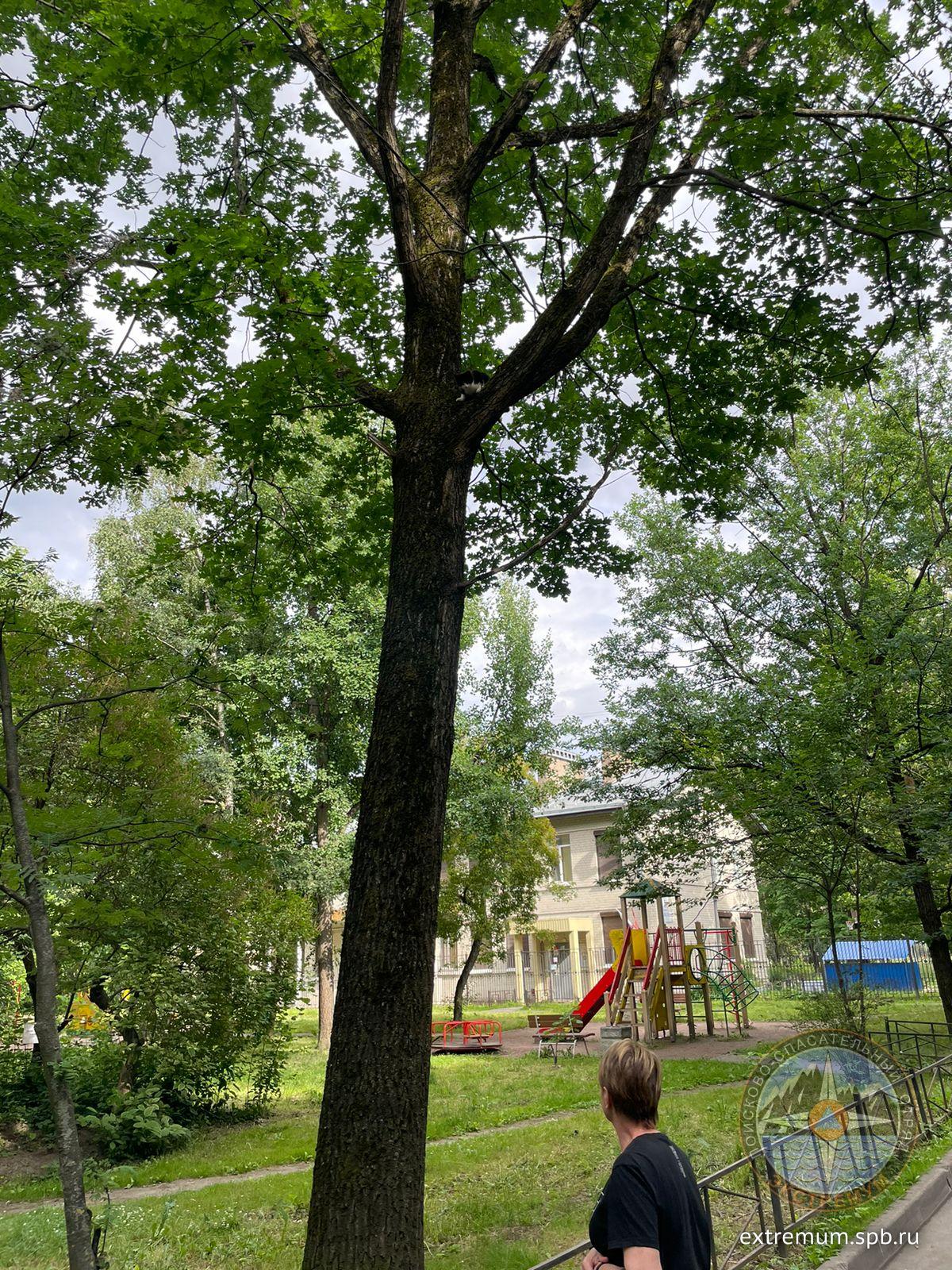 WhatsApp Image 2024-06-24 at 17.03.48.jpeg