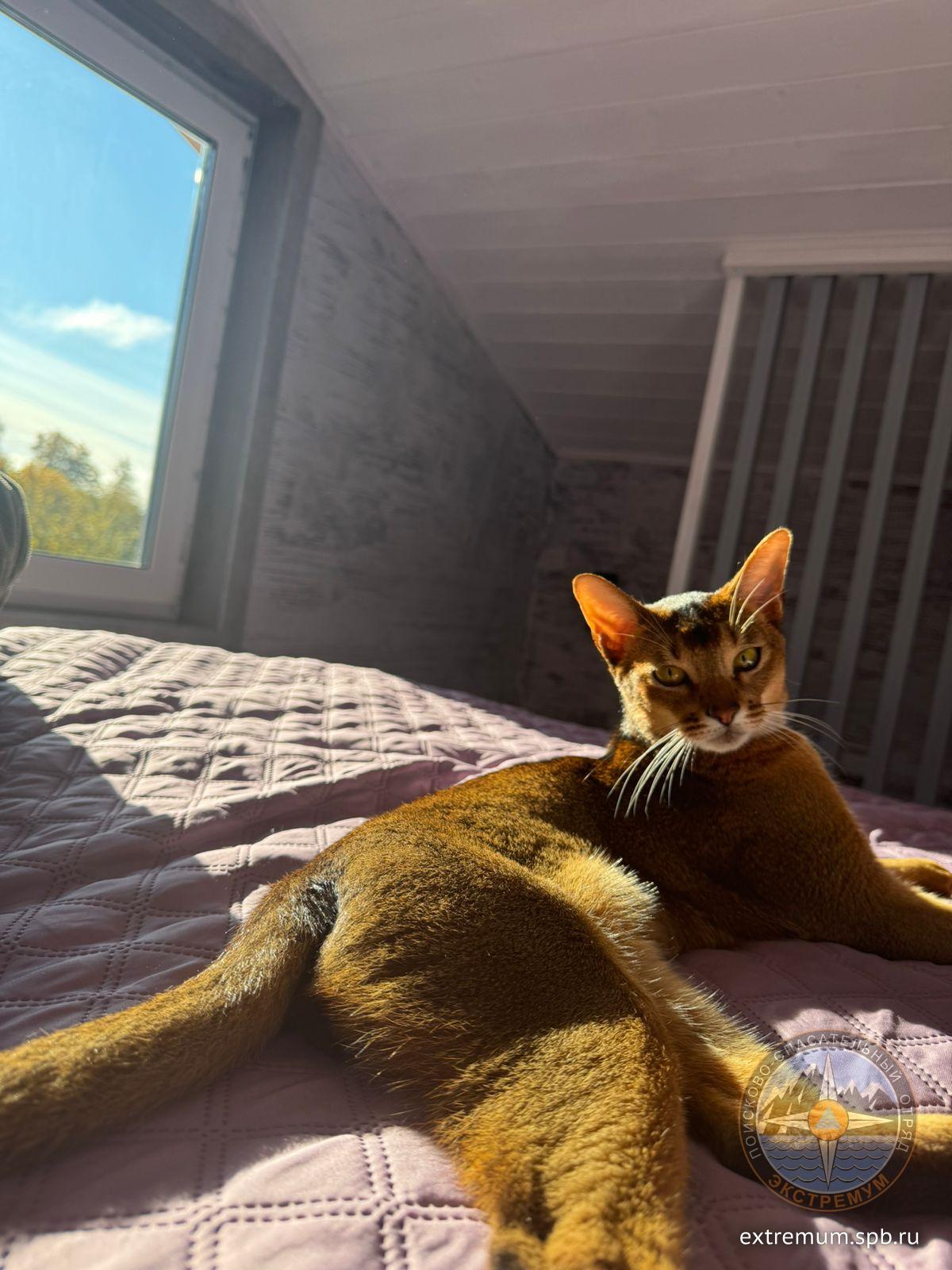 WhatsApp Image 2024-10-31 at 14.30.16.jpeg