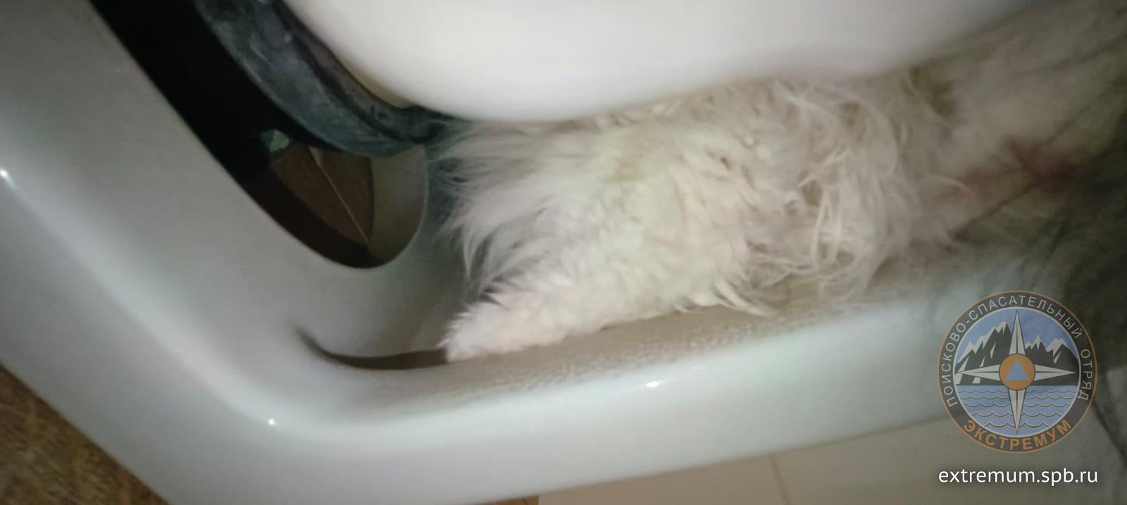 WhatsApp Image 2024-10-31 at 21.17.24.jpeg