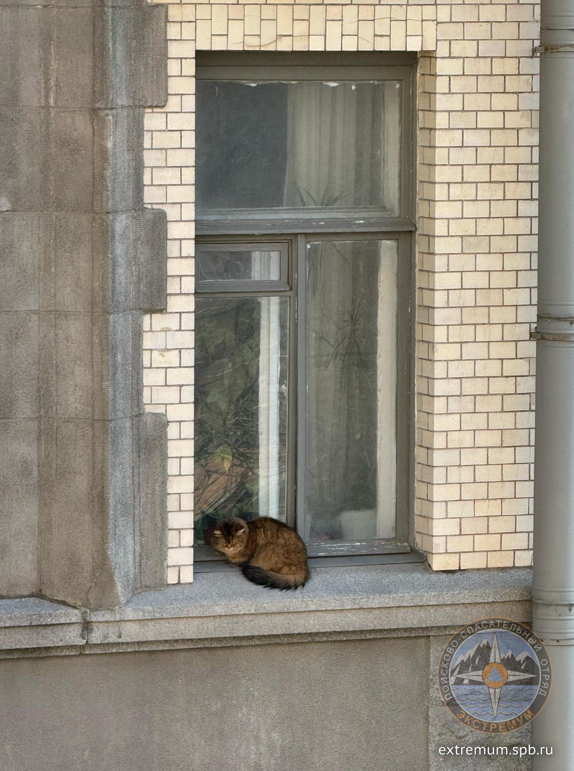 красн арм_2.jpg